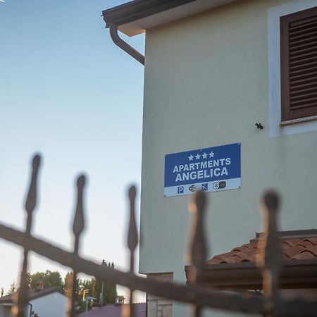 Apartments Angelica 1 Novigrad Istria المظهر الخارجي الصورة